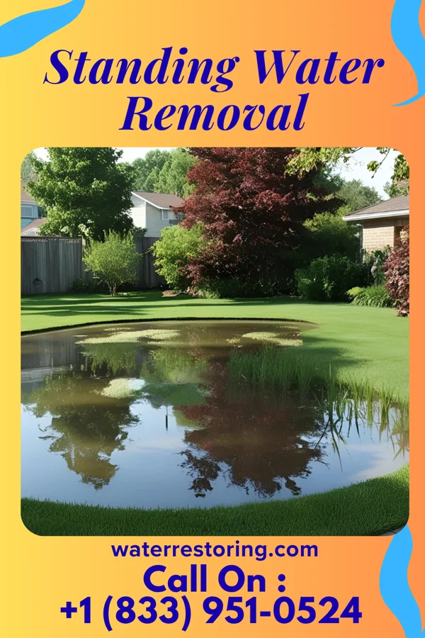 Standing Water Removal in Fairbank, IA